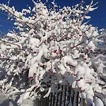 Semesterbostad бриндуш *