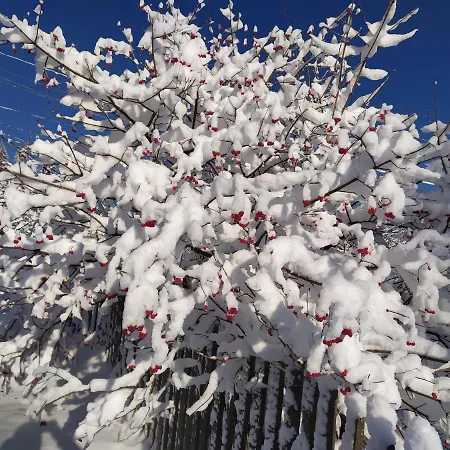 Holiday home бриндуш *