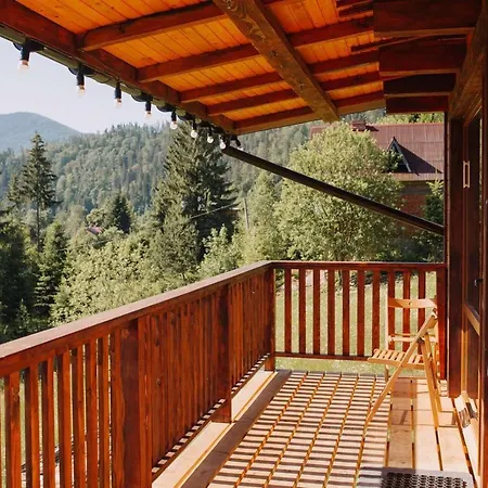Holiday home бриндуш Tatariv
